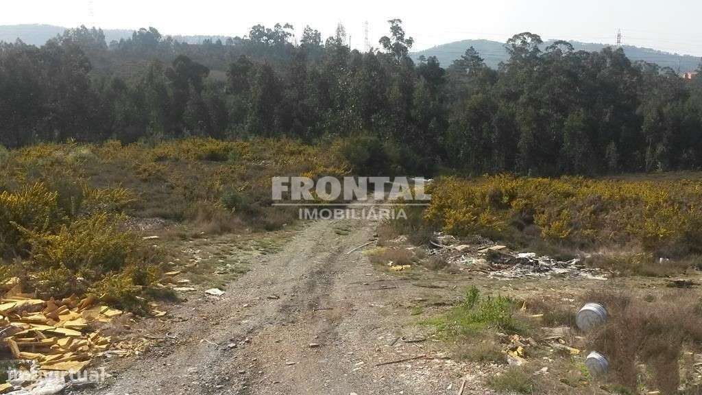 Terreno Industrial - 7 939 m2 | Zona Industrial de Campo, Valongo - Grande imagem: 3/7