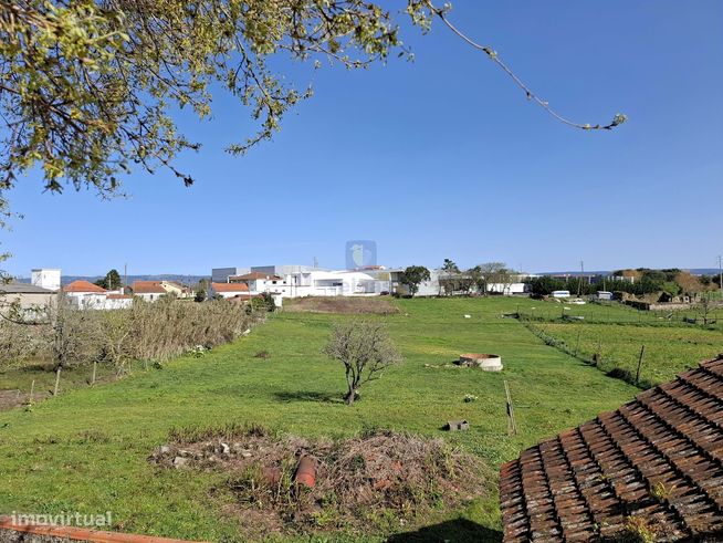 Terreno urbano com 15.867 m2 em Cela, Alcobaça,  e ruína de 336,30 m2-3