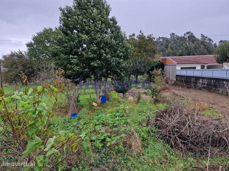 Terreno em Fiães, Santa Maria da Feira - Grande imagem: 4/5