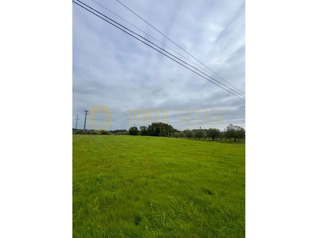 Terreno Rústico com Viabilidade de Construção - 6.646 m² - Palmela - Grande imagem: 2/2