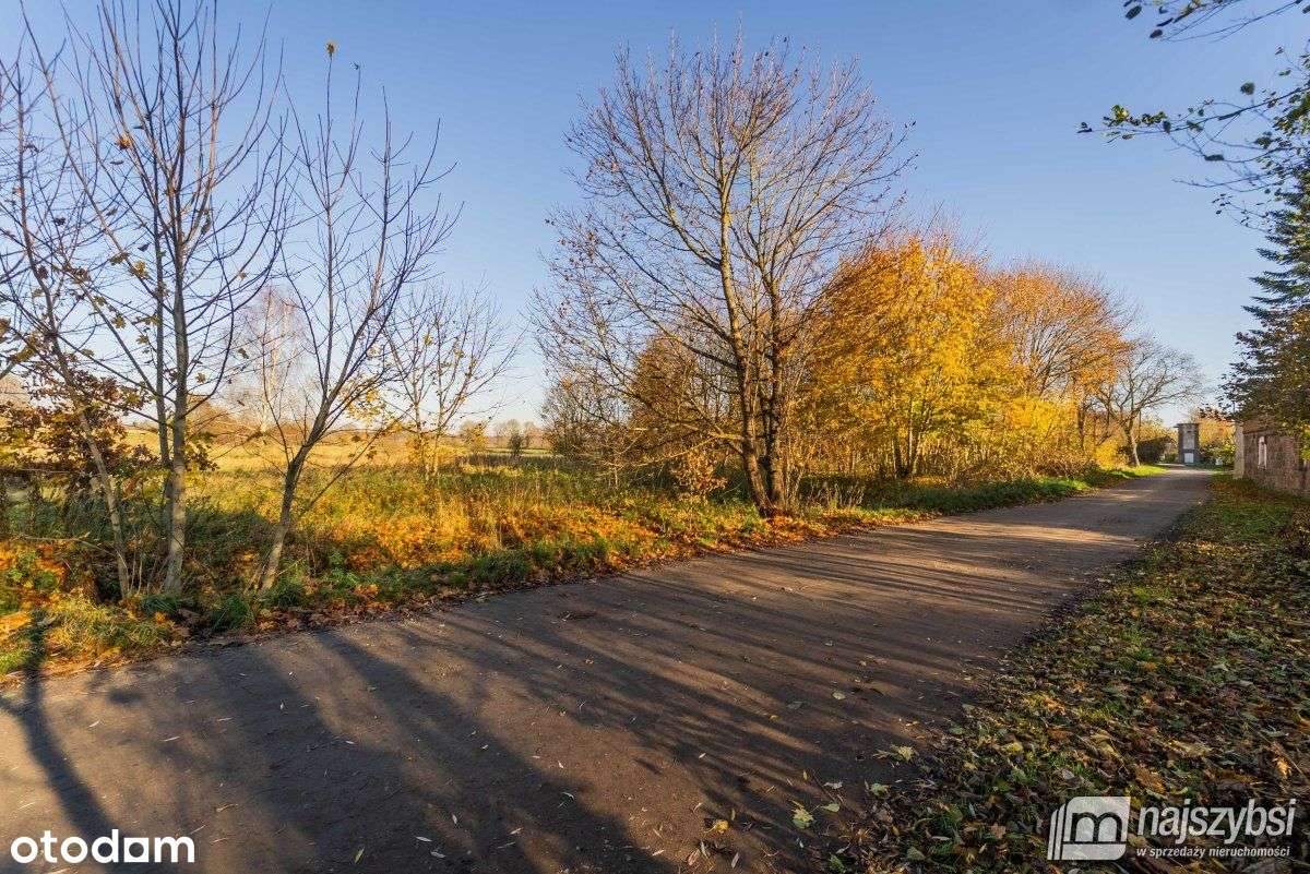 Czarne - Kompleks 2 działek na sprzedaż - Pełny obrazek: 5/18