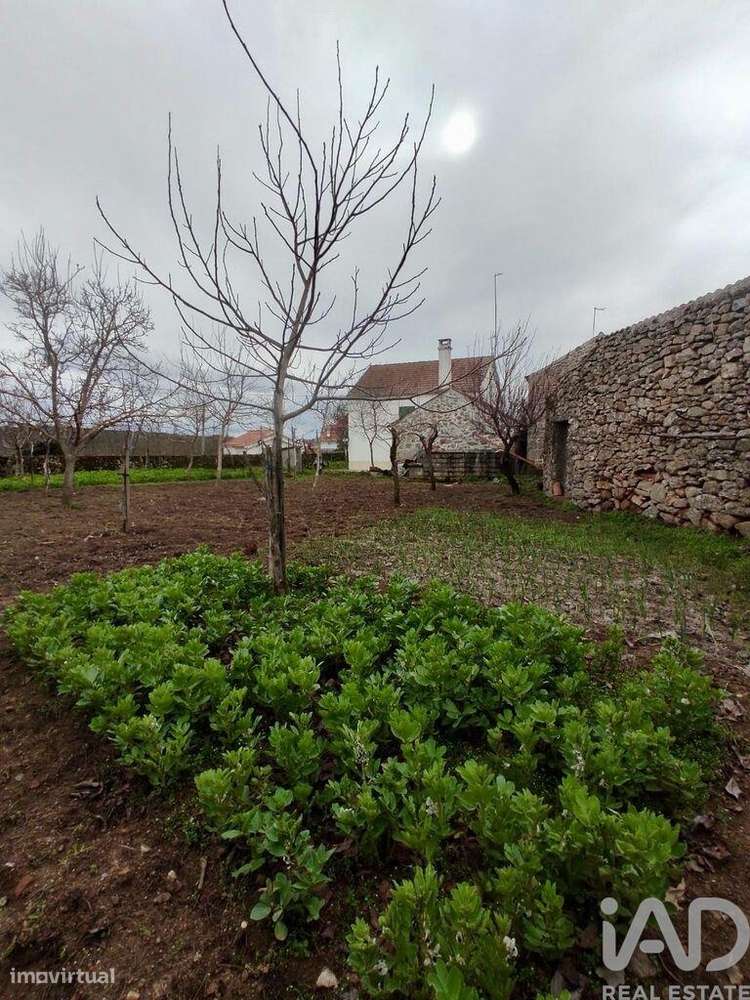 Casa de aldeia T5 em Ruvina, Ruivós e Vale das Éguas de 310,00 m2 - Grande imagem: 4/26