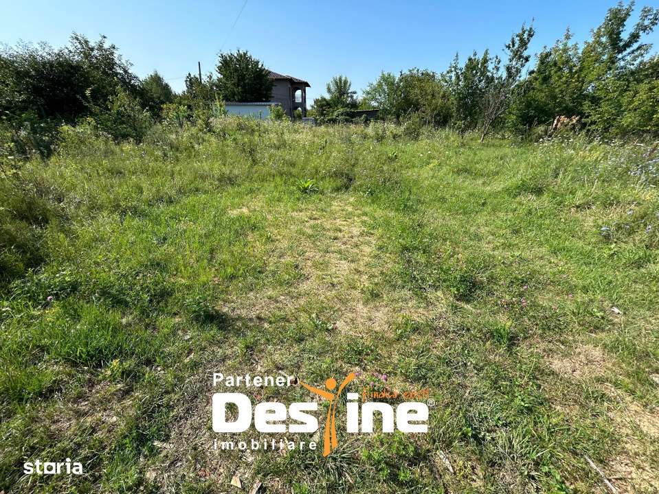 Teren Intravilan - Hlincea (Ciurea) 1000Mp - Imagine principală: 5/6