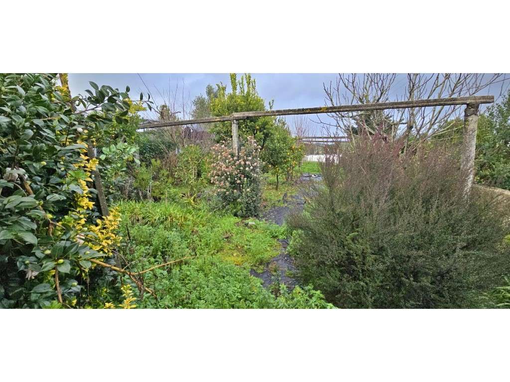 Moradia bifamiliar em São Romão do Coronado-16