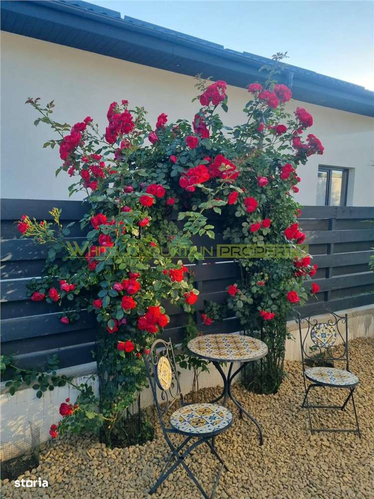 Buftea, casa 4 camere-14