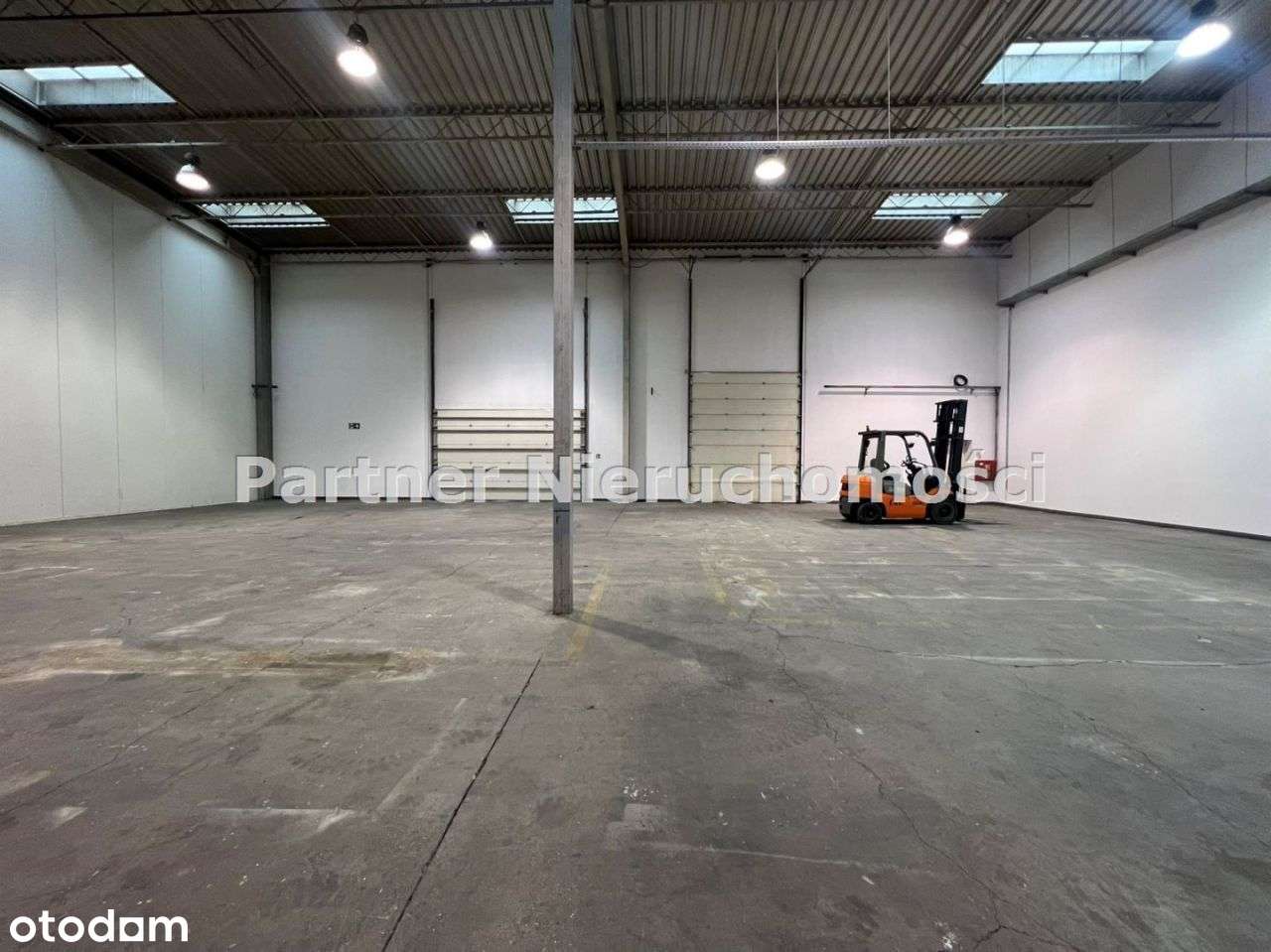 Hala Magazynowo - Produkcyjna ! Toruń ! 470m!!! - Pełny obrazek: 3/6