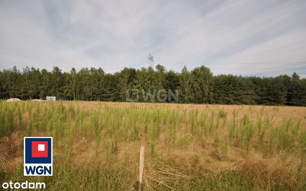 Działka, 3 032 m², Dobryszyce-0