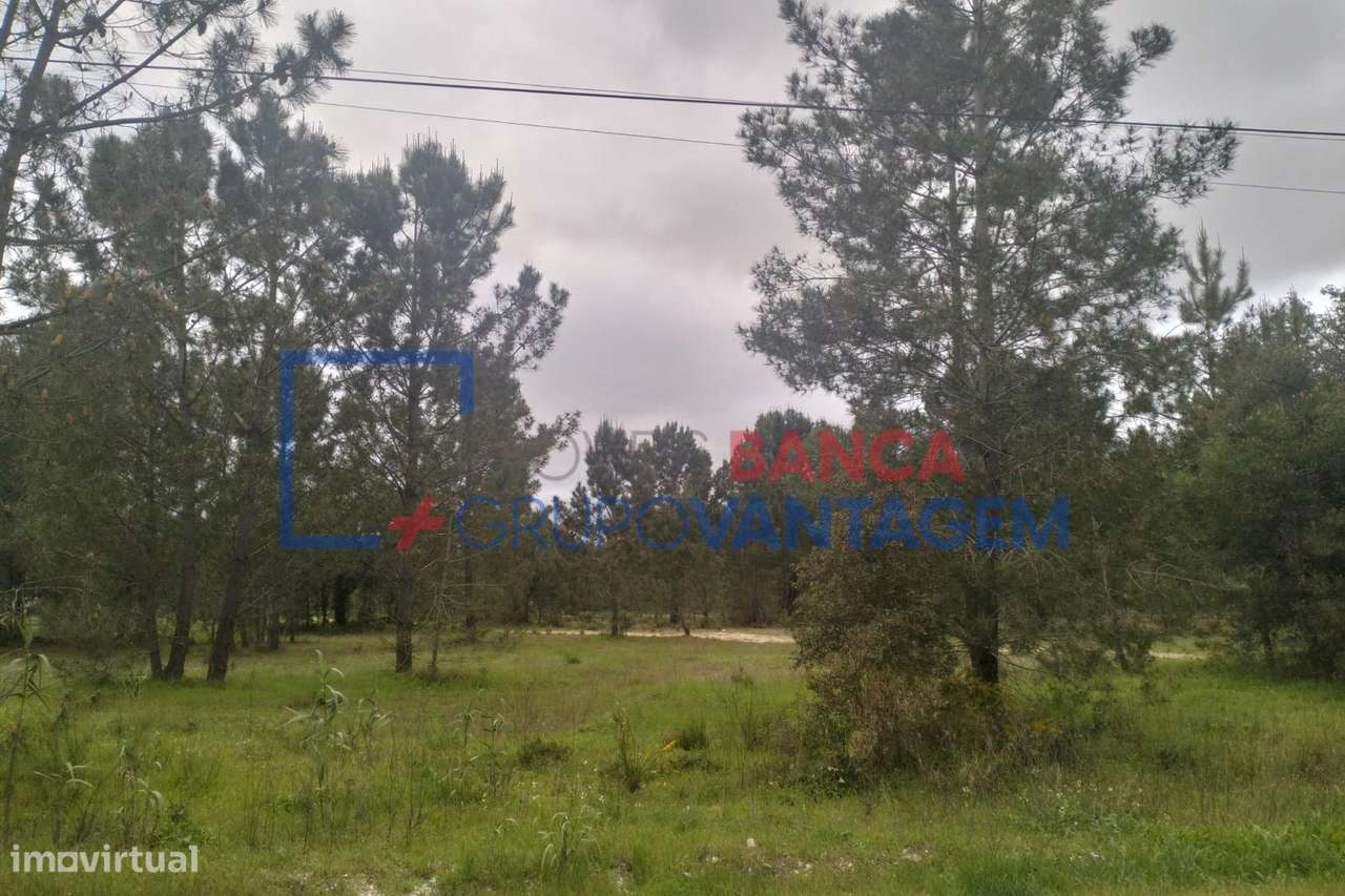 Terreno Rústico em Salvaterra de Magos - Grande imagem: 5/6