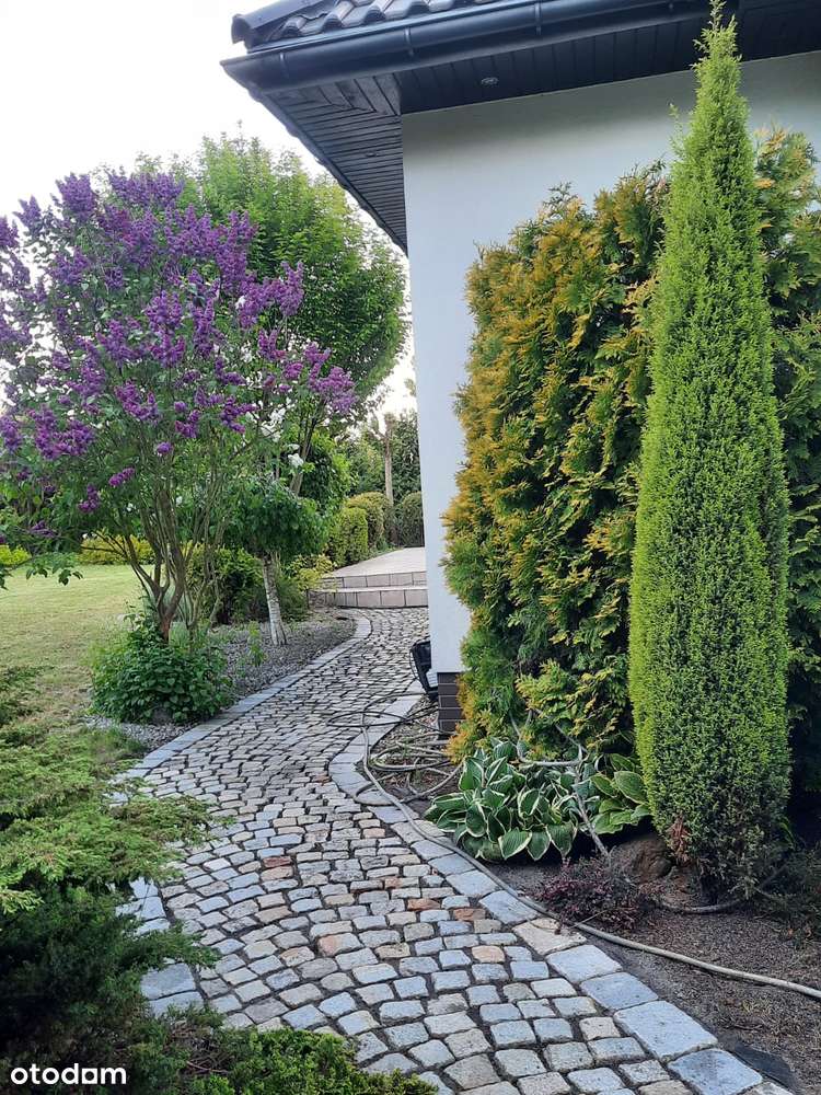 Nowoczesny,komfortowy,piękny ogród, blisko Wrocławia,5 sypialni.-16