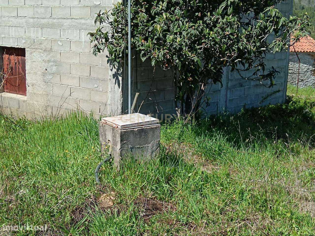 Terreno rústico com 7840m2 em Pousafoles, Sarzedas - Grande imagem: 4/23