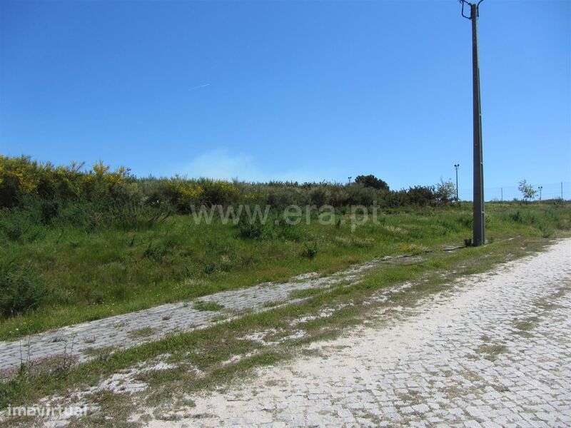 Terreno para Construção / Baião, Grilo - Grande imagem: 3/3