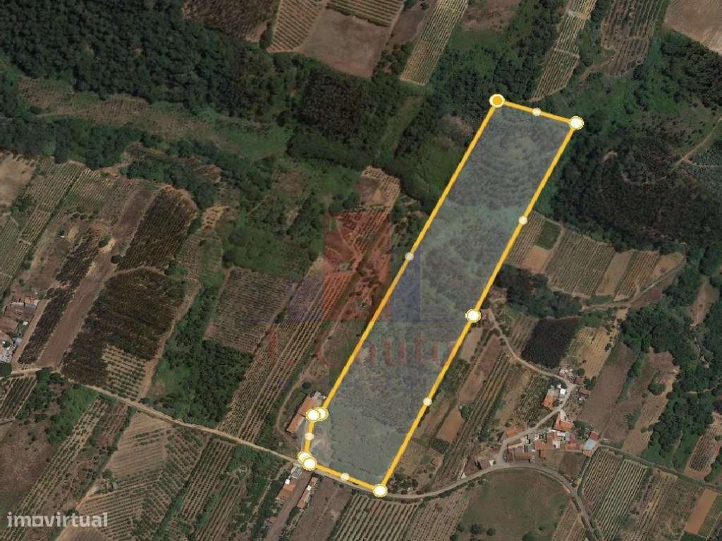 Propriedade com 40.360 m² no Bombarral com Projeto Aprovado para Mo...-7