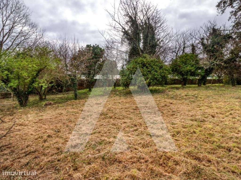 Lote de Terreno para construção de moradia na Sra. Do Monte - Salreu - Grande imagem: 5/12