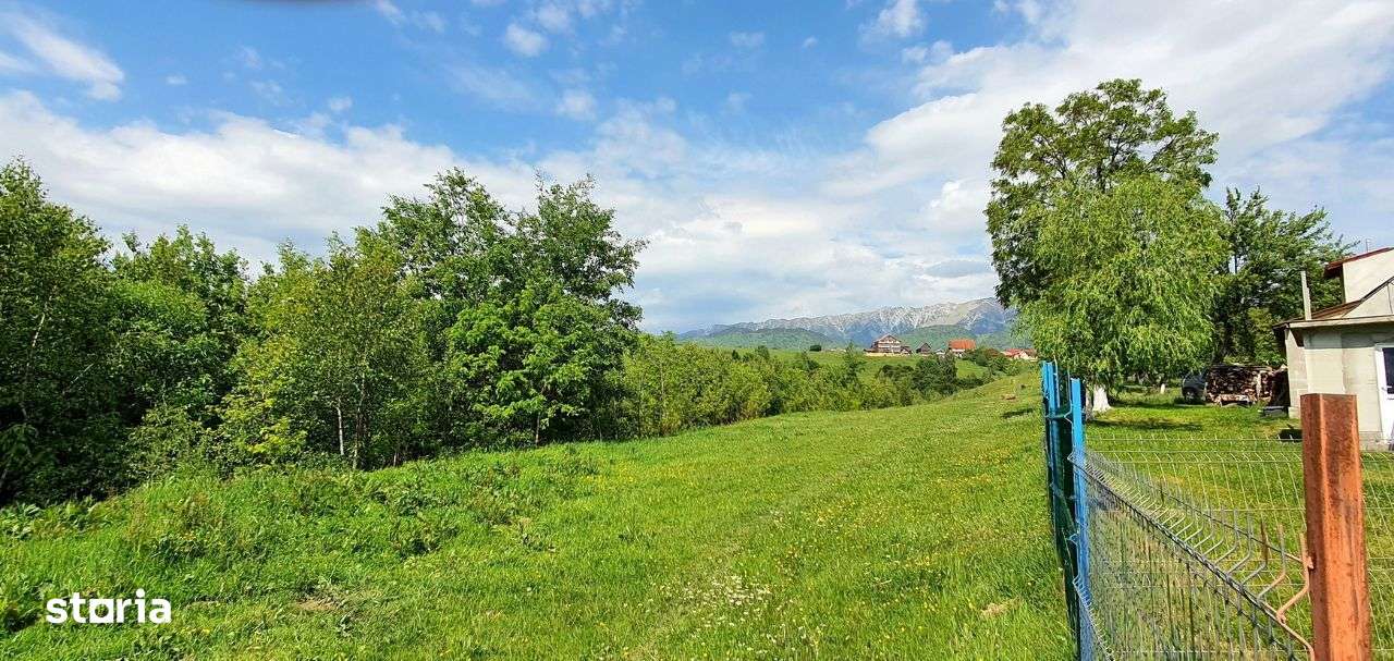 Teren casa de vacanta , Pestera , Brasov-12