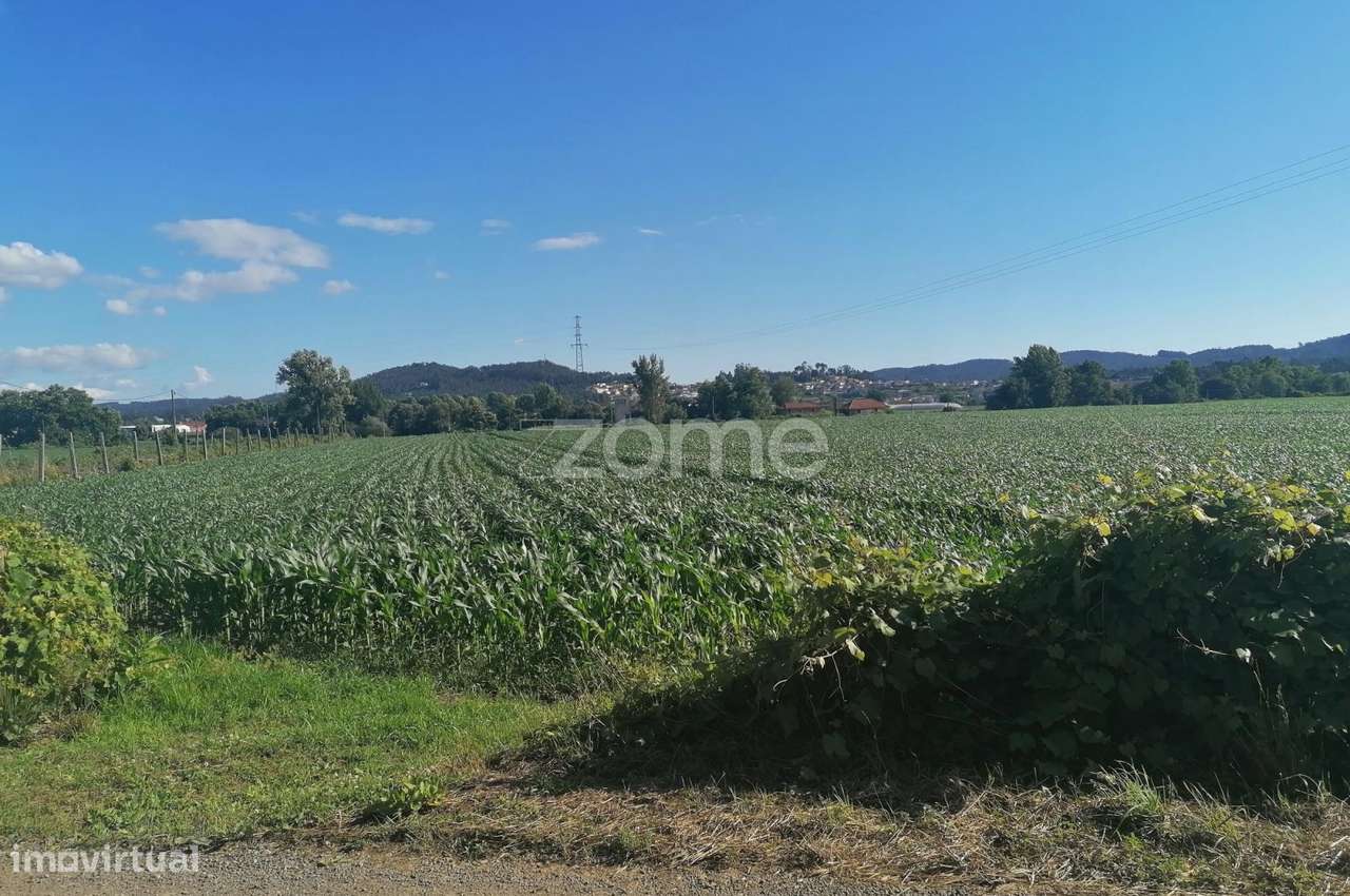 Terreno agrícola com 3.300 M2 em Fradelos-Famalicão - Grande imagem: 5/15
