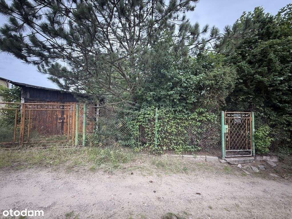 Mały dom do remontu, działka 500 m2 - Pełny obrazek: 5/11