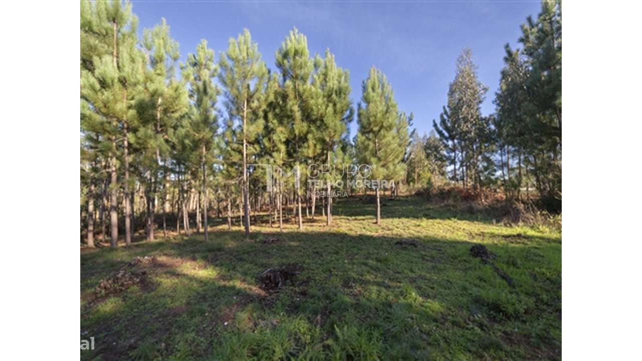 Terreno construção (Pisão) Pedroso - Grande imagem: 4/5