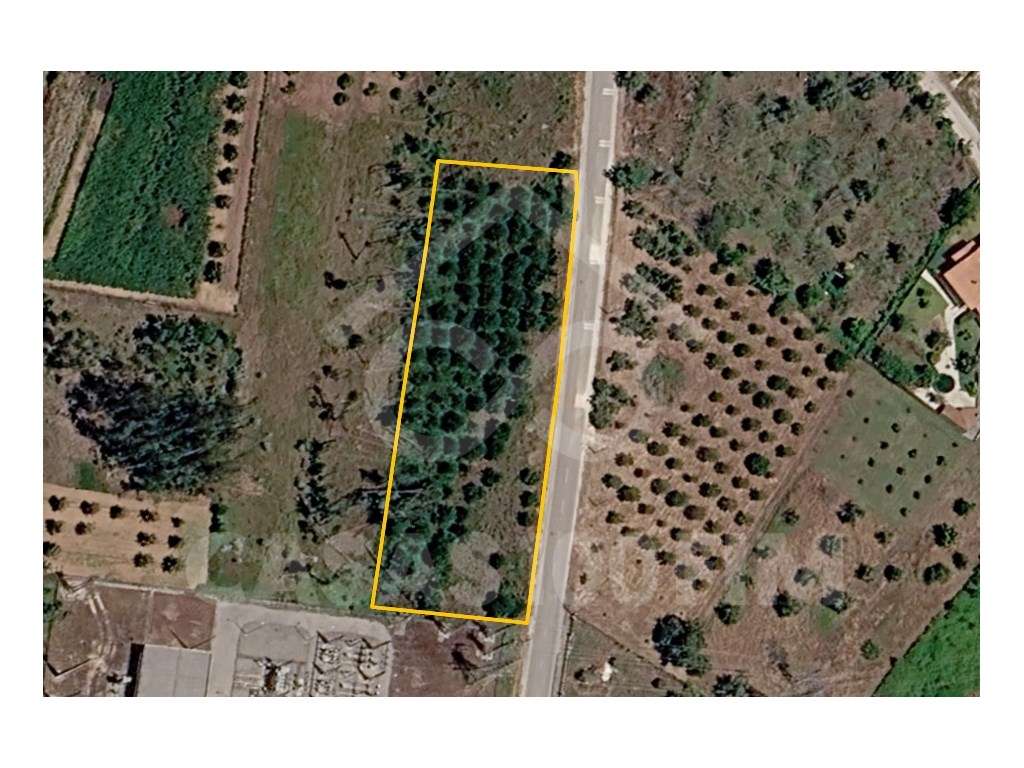 Terreno para construção-3