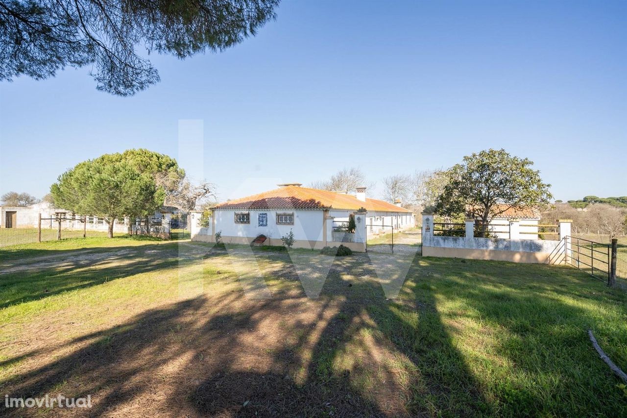 HERDADE COM 190 HA EM BENAVENTE, DISTRITO DE SANTARÉM