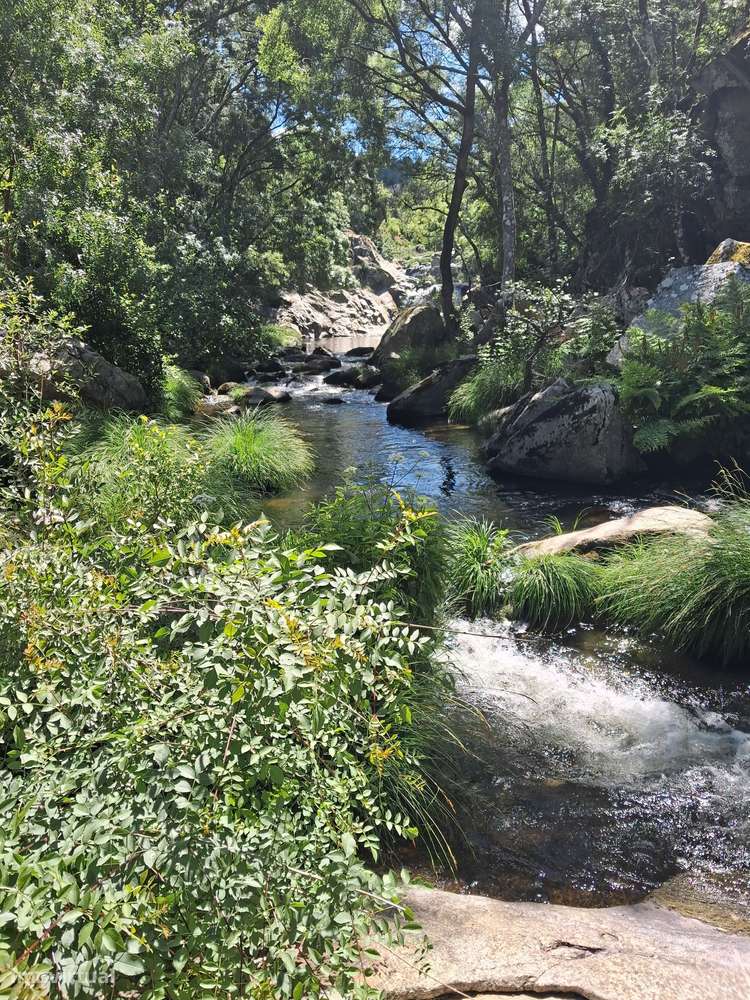 Grande Terreno com Moinho - Lamego-12