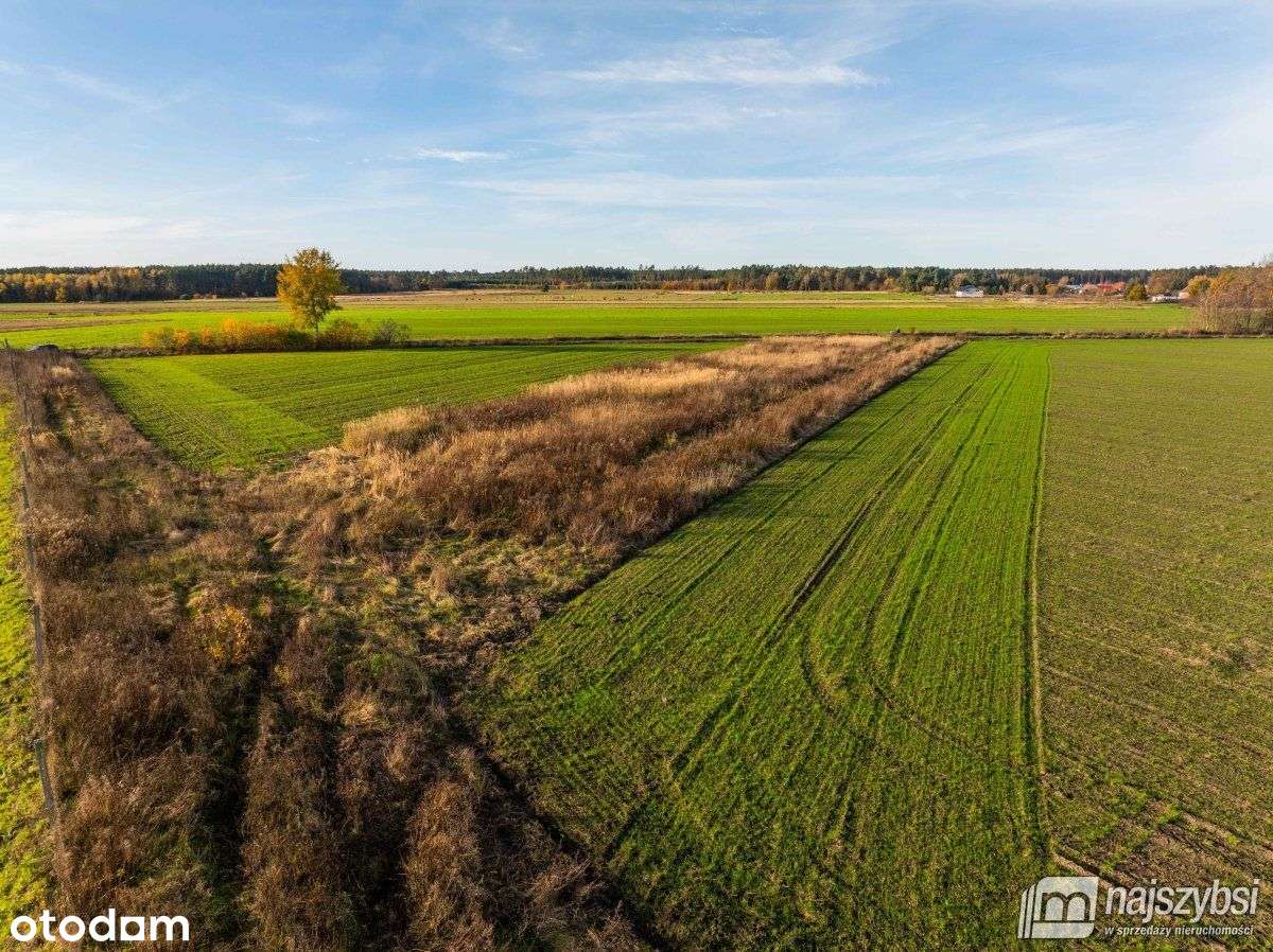 Glewice - atrakcyjna działka 2777m2 - Pełny obrazek: 5/8