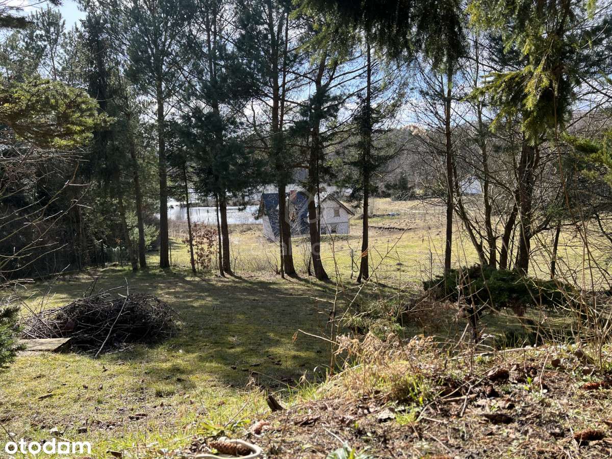 Pierwsza linia brzegowa, Jezioro Stacinko.-10