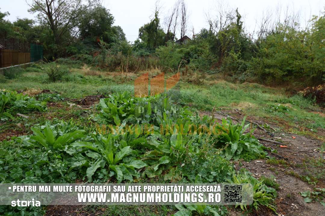 Teren intravilan, 731 mp, Bradu, toate utilitatile - Imagine principală: 2/6