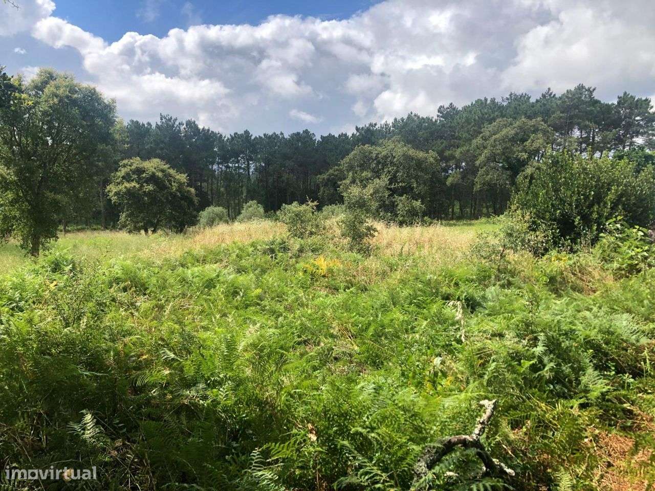 Terreno urbanizável em Ferraria de Pataias-6