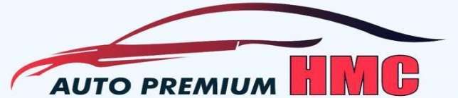 AUTO PREMIUM HMC logo