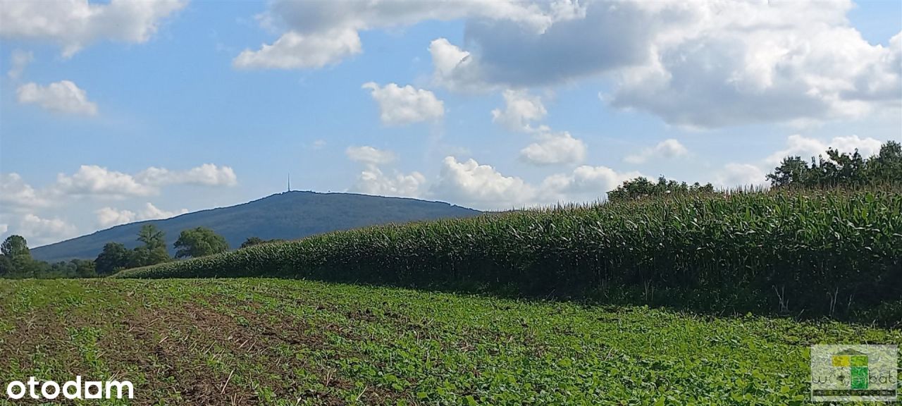 Działka budowlana na sprzedaż Zebrzydów