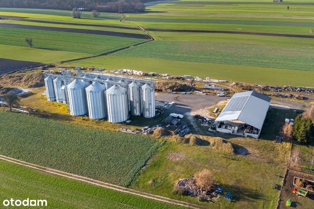 Kompleks magazynów z dotacją na rozbudowę - Pełny obrazek: 5/20