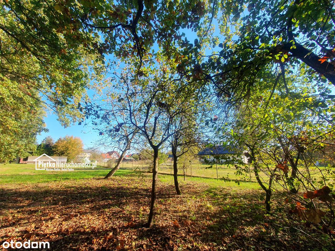 Dom 340m2 przy Puszczy Kampinoskiej + budynek usługowy 280m2-10