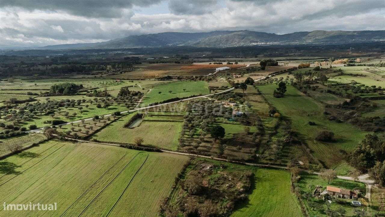 Quintinha / Fundão, Orca - Grande imagem: 5/20