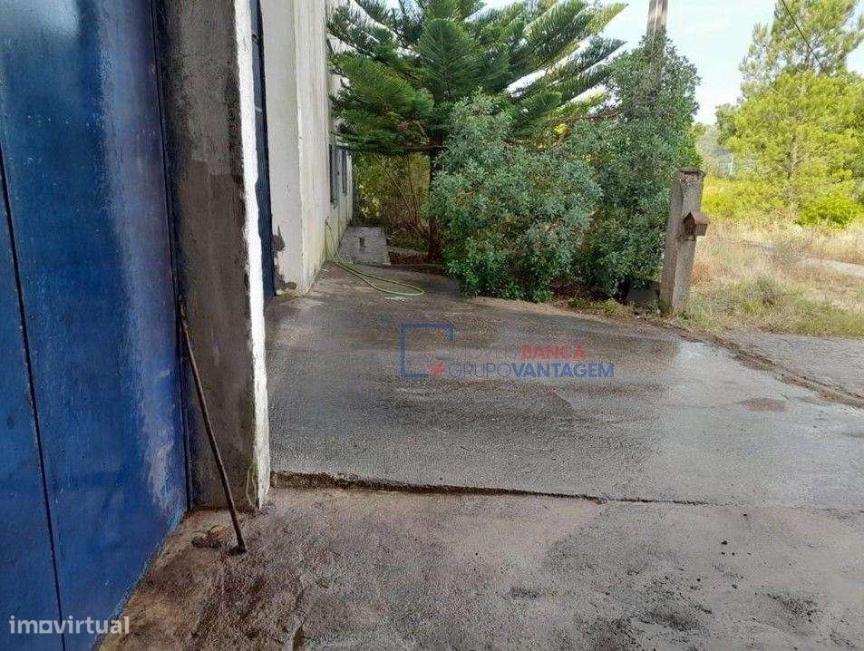 Armazém para venda nos Amiais de Baixo, Santarém - Grande imagem: 4/26