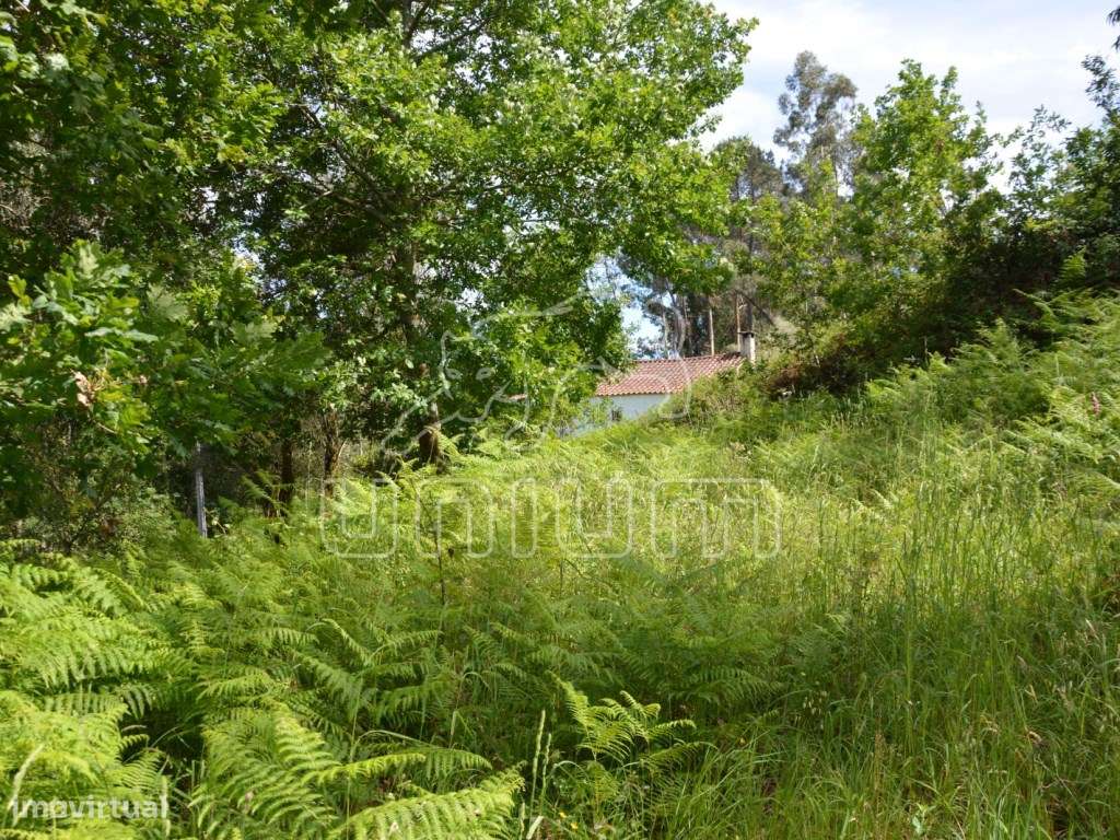 Terreno em Cazelho, Goães - Grande imagem: 2/12