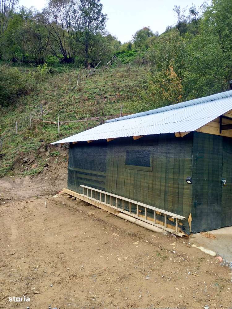 Casa Muntii Apuseni - Bistra - Imagine principală: 4/9