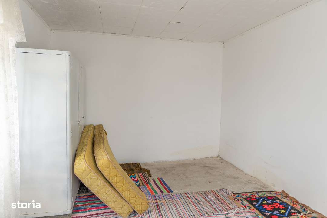 Casa din chirpici, bucatarie de vara si 1.34 ha de teren, Ardeoani-15