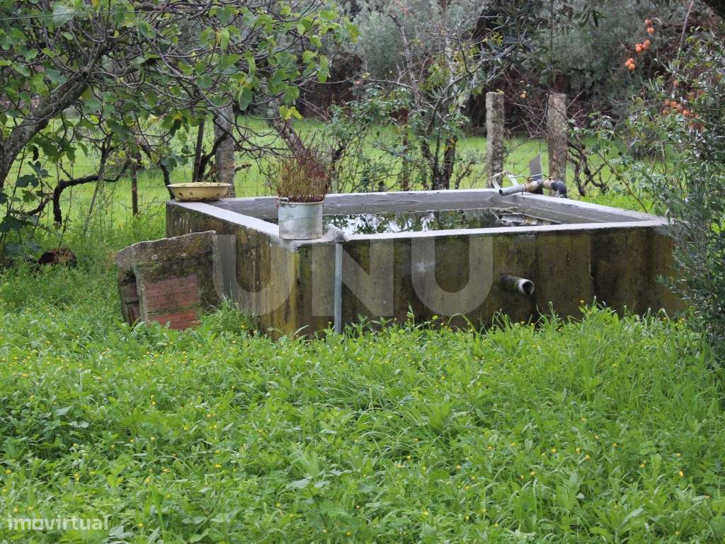 Quintinha com 4250m2 - Grande imagem: 4/21