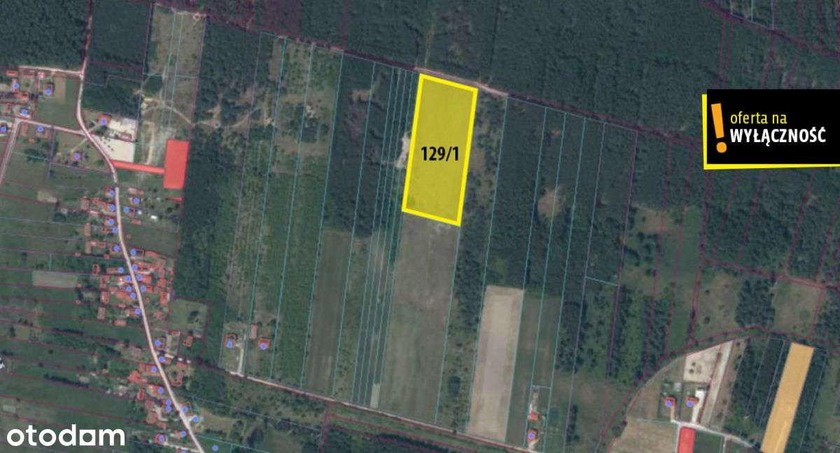 Działka blisko lasu.-19