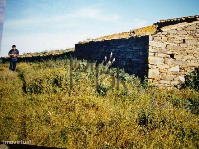 Herdade Montinho do Pascoal - Grande imagem: 3/34