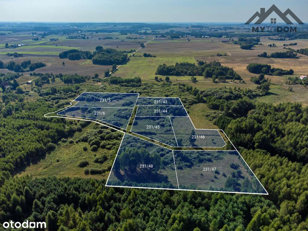 Kompleks działek w otulinie lasu, Elgnowo - Pełny obrazek: 5/6