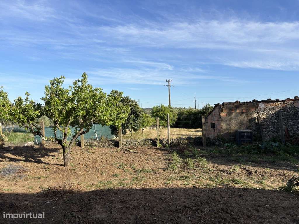 Vendese Quinta com Casa T4, Adega, Lagar e Terreno com Árvores de F...-13