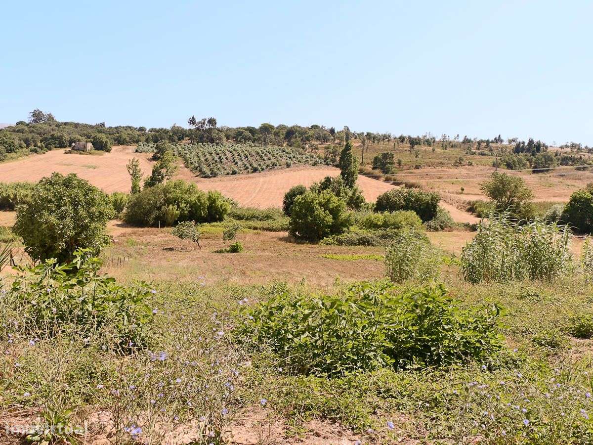 Terreno com 6260m2 destinado á construção de moradia independente. - Grande imagem: 3/15