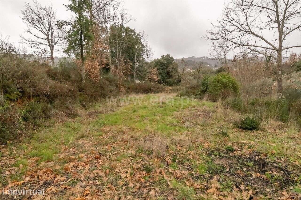 Terreno / Fundão, Aldeia de Joanes - Grande imagem: 4/5