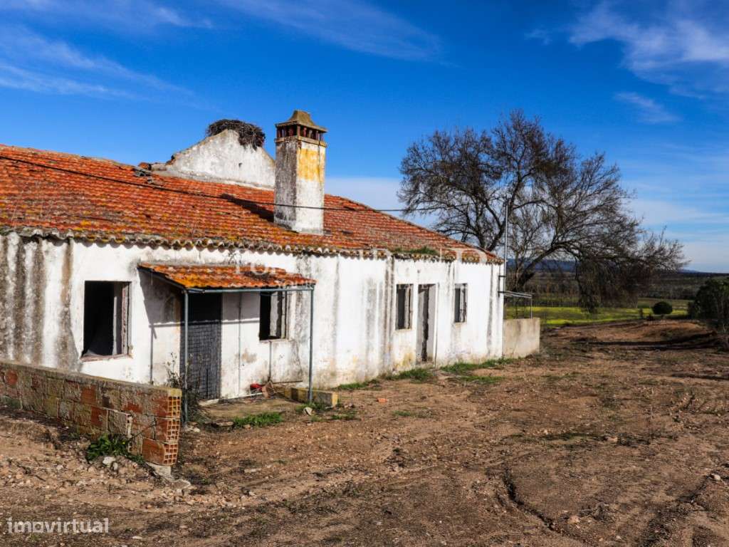 Quinta com casa de habitação T5 e diversas construções-21