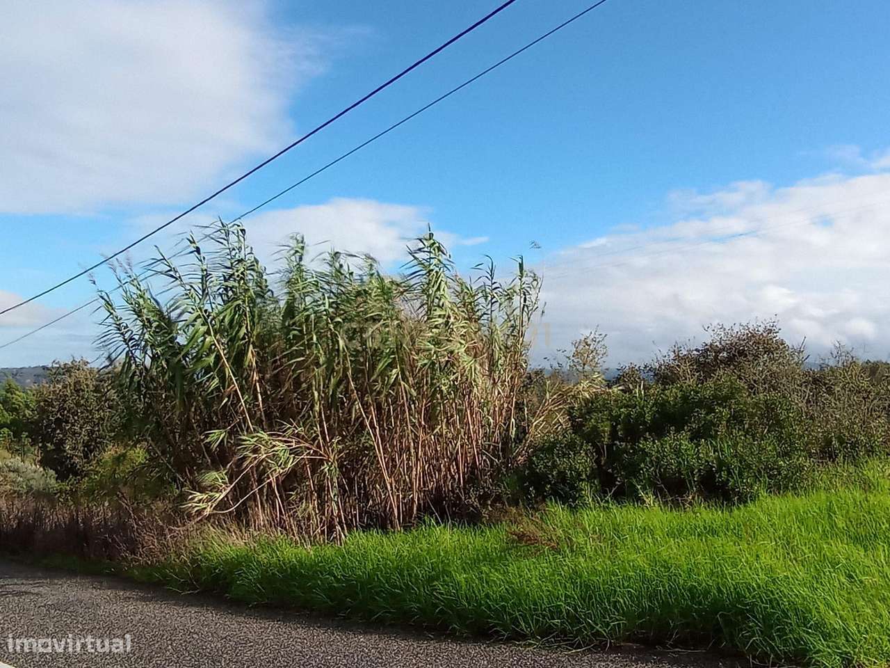 Construir uma ou várias moradias na Lagoa, Arrabal - Grande imagem: 2/6