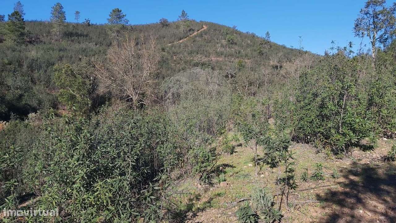 Terreno  para venda - Grande imagem: 2/10