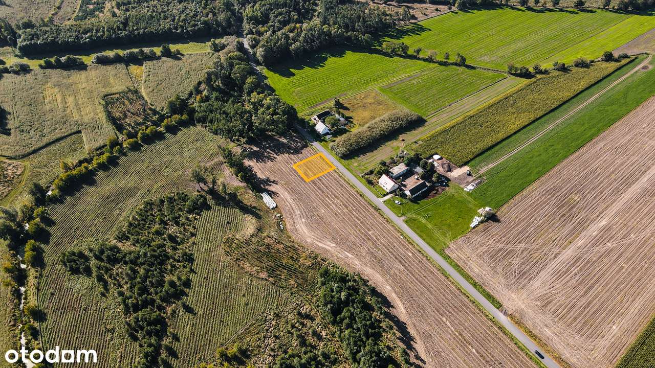 Nowy Folwark, gm. Września, pow. wrzesiński, woj. wielkopolskie-12