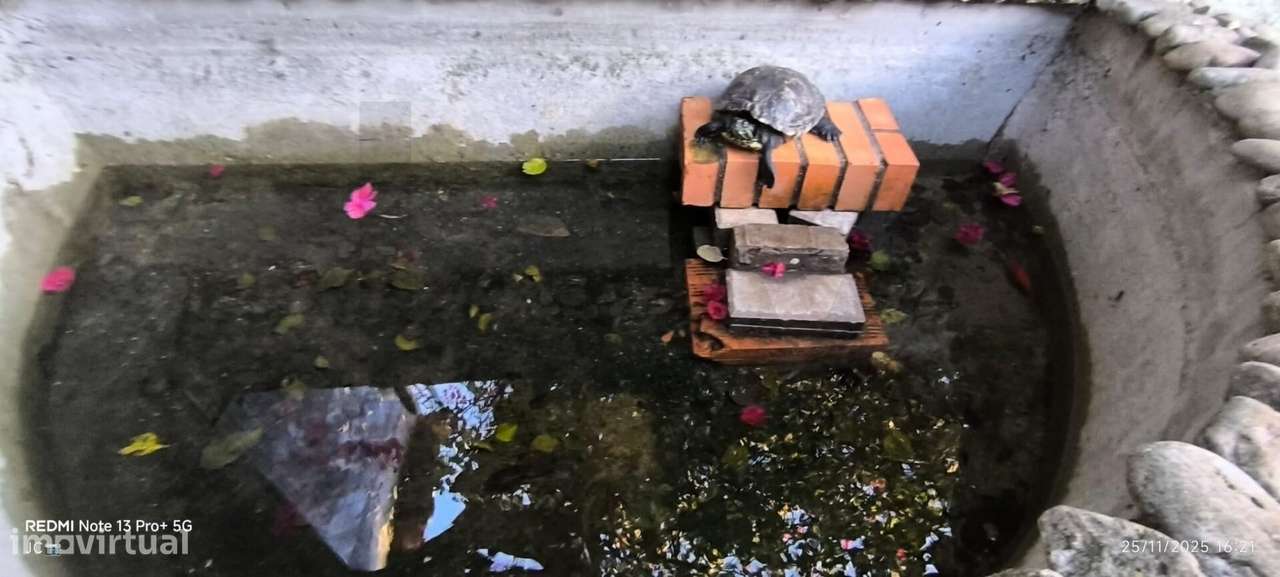 Moradia T4 de Arquitetura Colonial — Um Refúgio Exclusivo na Alapraia, - Grande imagem: 5/60