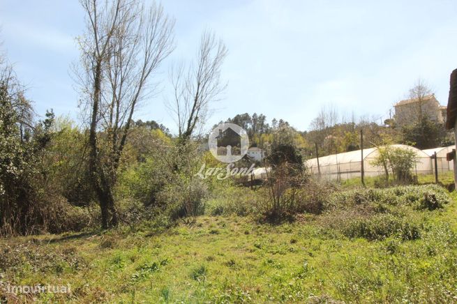 Terreno para loteamento Silvares S. Martinho Fafe-2
